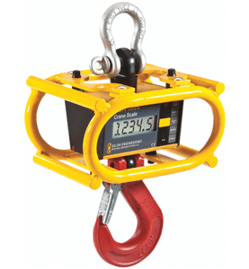 Industrial Crane Scales & Dynamometers
